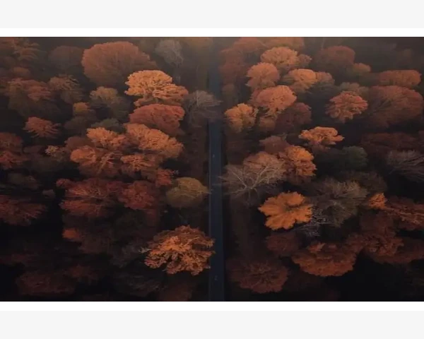 嘴唇周围频繁长痘痘？中医告诉你如何调理，拥有健康肌肤！